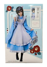 Load image into Gallery viewer, ONLY FROM JAPAN Rascal Does Not Dream Collectible Figures