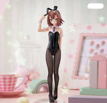 Load image into Gallery viewer, FR Baka &amp; Test Hideyoshi