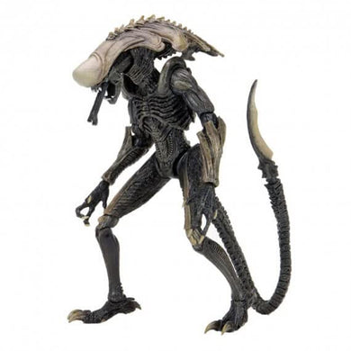 Alien Vs Predator Game Movie Deco 9 Inch Action Figure Ultimate - Chrysalis Alien