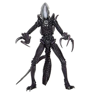 NECA Alien 17.8-cm Action Figure, Razor Claws Alien vs. Predator, Grey, Printed, 100% Plastic