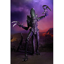 Load image into Gallery viewer, NECA Alien 17.8-cm Action Figure, Razor Claws Alien vs. Predator, Grey, Printed, 100% Plastic