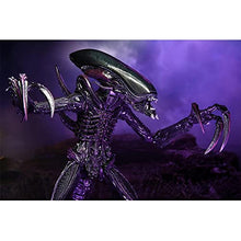 Load image into Gallery viewer, NECA Alien 17.8-cm Action Figure, Razor Claws Alien vs. Predator, Grey, Printed, 100% Plastic